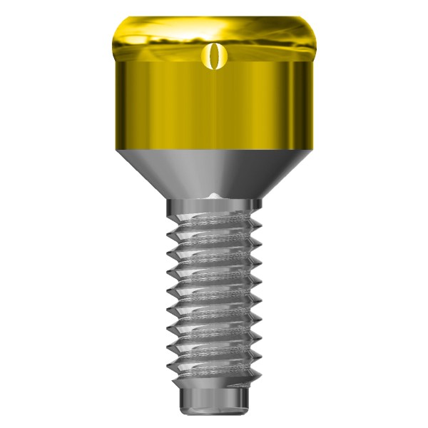MONCONE CONNEKTOR h1  (1) copia3